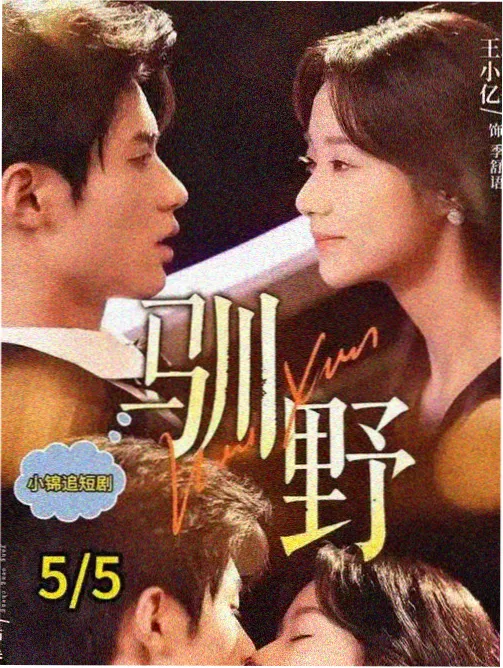 长夜将至韩国政治惊悚剧海报
